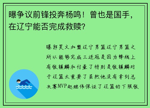 曝争议前锋投奔杨鸣！曾也是国手，在辽宁能否完成救赎？